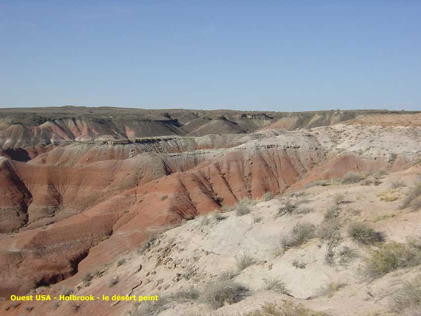 arizona - holbrook - painted desert et petrified forest - carnets de voyage usa